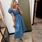Park Picnic Gingham Maxi (Blue)