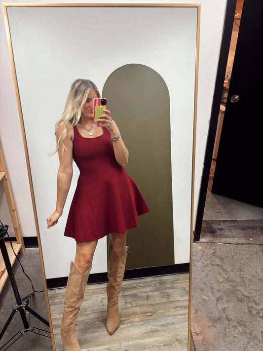 Ava Flare Knit Dress (Burgundy)