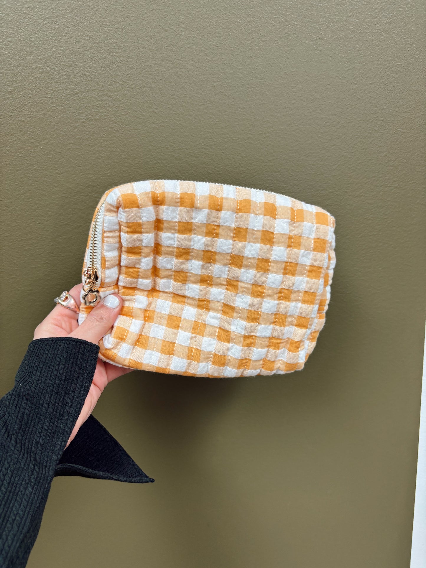 Color Parade Cosmetic Bag